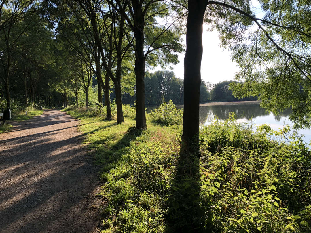 hotel-haus-am-rieth-hotel-in-nettetal-lobberich-natur-umgebung-wandern-radfahren (1)