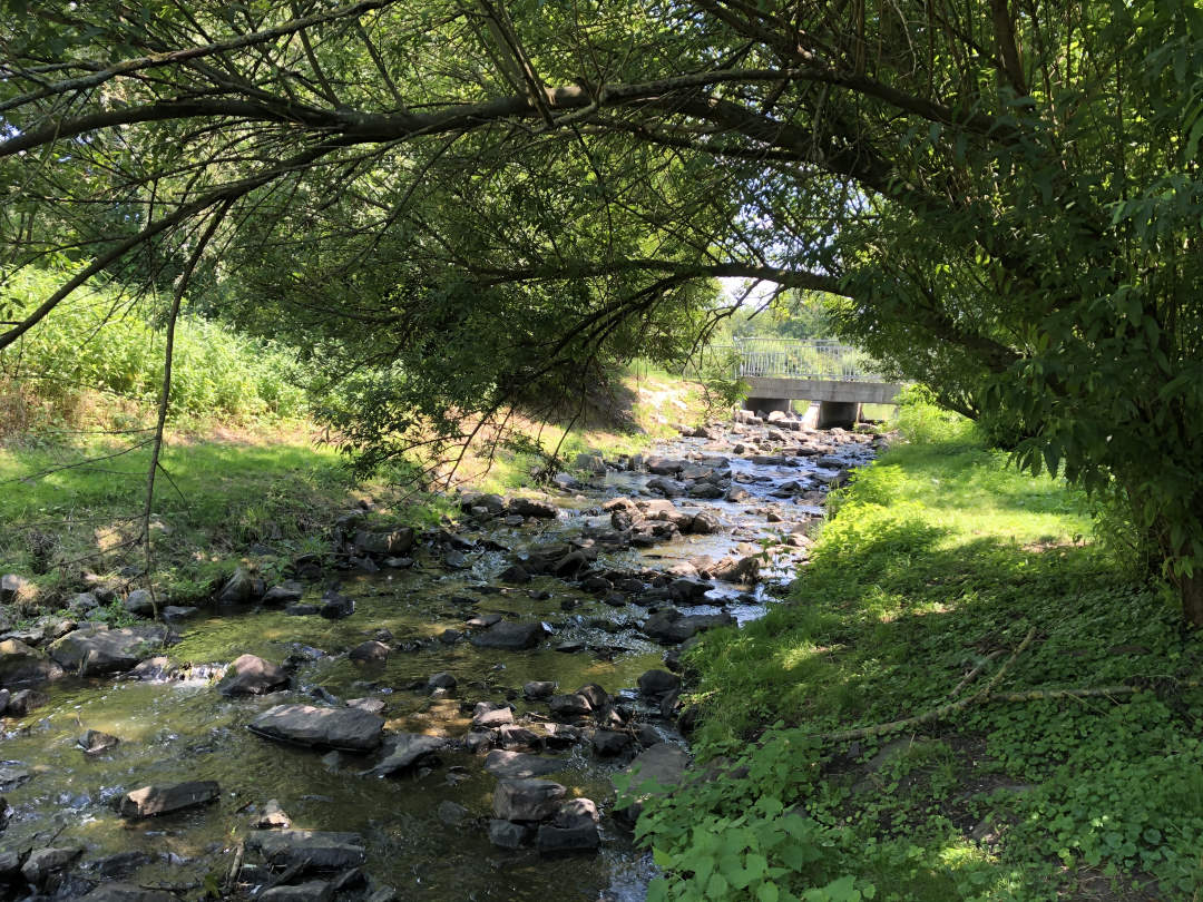 hotel-haus-am-rieth-hotel-in-nettetal-lobberich-natur-umgebung-wandern-radfahren (5)